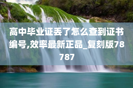 高中毕业证丢了怎么查到证书编号,效率最新正品_复刻版78787