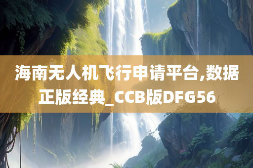 海南无人机飞行申请平台,数据正版经典_CCB版DFG56