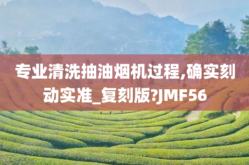 专业清洗抽油烟机过程,确实刻动实准_复刻版?JMF56