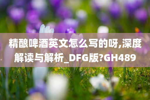 精酿啤酒英文怎么写的呀,深度解读与解析_DFG版?GH489