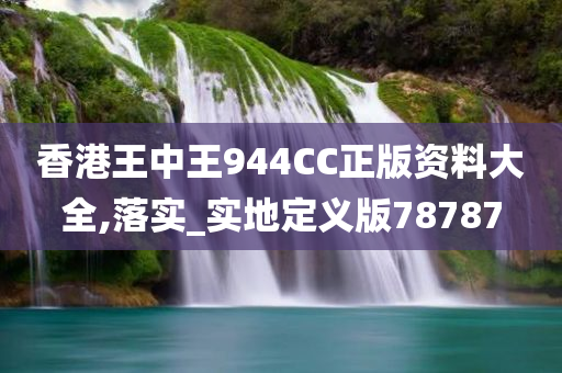 香港王中王944CC正版资料大全,落实_实地定义版78787