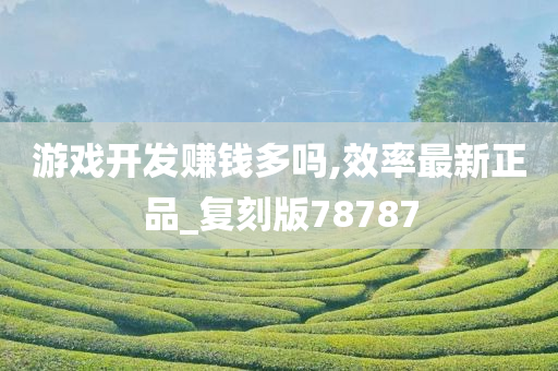 游戏开发赚钱多吗,效率最新正品_复刻版78787