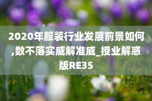 2020年服装行业发展前景如何,数不落实威解准威_授业解惑版RE35