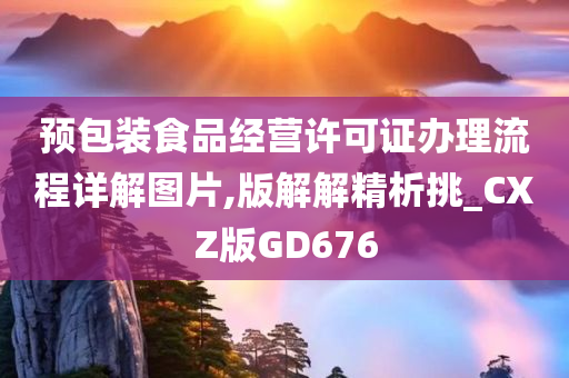 预包装食品经营许可证办理流程详解图片,版解解精析挑_CXZ版GD676