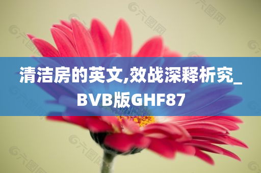 清洁房的英文,效战深释析究_BVB版GHF87