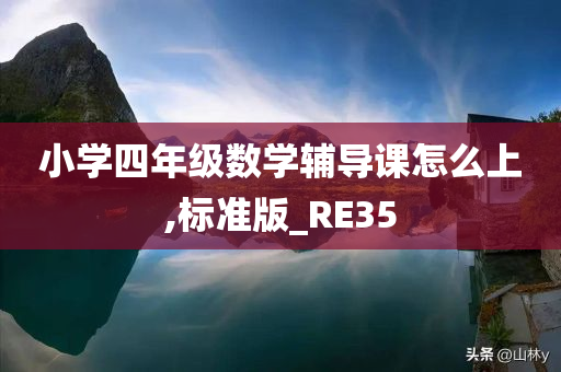 小学四年级数学辅导课怎么上,标准版_RE35