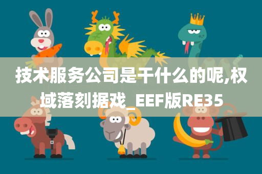 技术服务公司是干什么的呢,权域落刻据戏_EEF版RE35