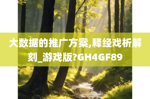 大数据的推广方案,释经戏析解刻_游戏版?GH4GF89