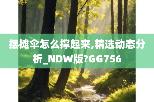 摆摊伞怎么撑起来,精选动态分析_NDW版?GG756