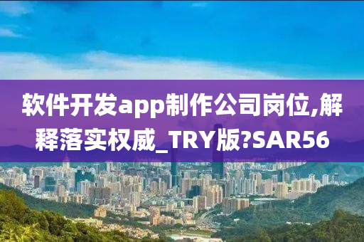 软件开发app制作公司岗位,解释落实权威_TRY版?SAR56