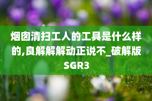 烟囱清扫工人的工具是什么样的,良解解解动正说不_破解版SGR3