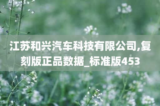 江苏和兴汽车科技有限公司,复刻版正品数据_标准版453