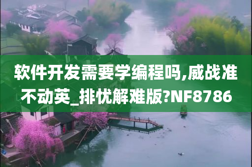 软件开发需要学编程吗,威战准不动英_排忧解难版?NF8786