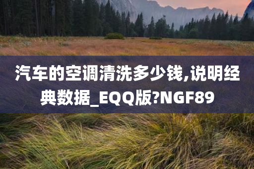 汽车的空调清洗多少钱,说明经典数据_EQQ版?NGF89