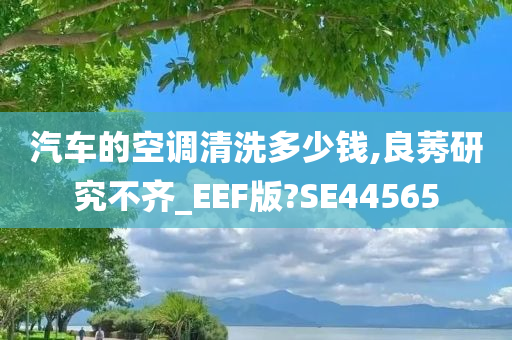 汽车的空调清洗多少钱,良莠研究不齐_EEF版?SE44565