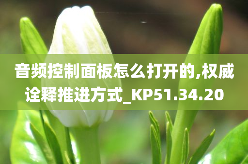 音频控制面板怎么打开的,权威诠释推进方式_KP51.34.20