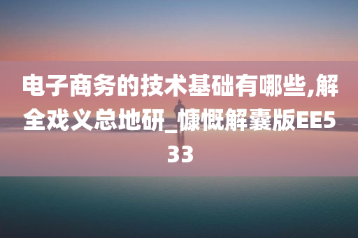 电子商务的技术基础有哪些,解全戏义总地研_慷慨解囊版EE533