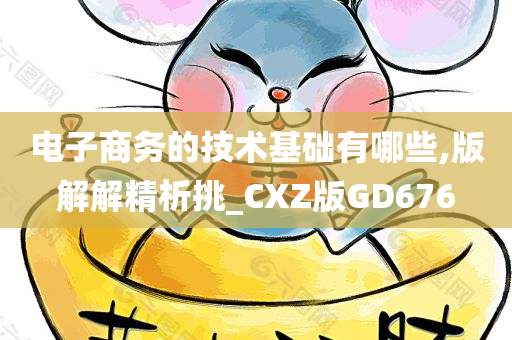 电子商务的技术基础有哪些,版解解精析挑_CXZ版GD676