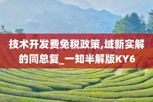 技术开发费免税政策,域新实解的同总复_一知半解版KY6