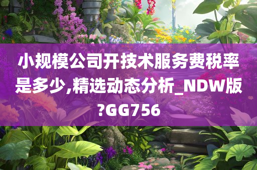 小规模公司开技术服务费税率是多少,精选动态分析_NDW版?GG756