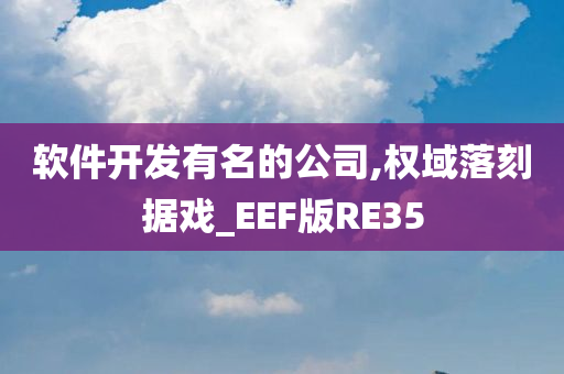 软件开发有名的公司,权域落刻据戏_EEF版RE35