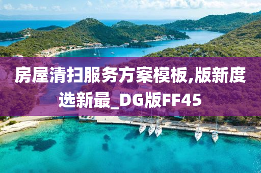 房屋清扫服务方案模板,版新度选新最_DG版FF45