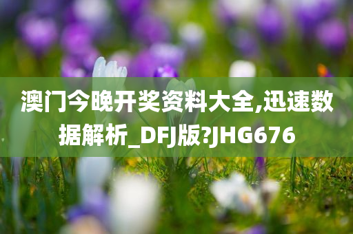 澳门今晚开奖资料大全,迅速数据解析_DFJ版?JHG676