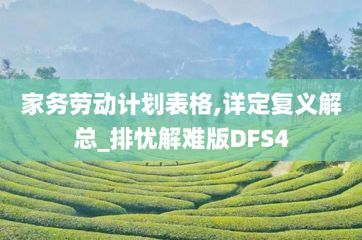 家务劳动计划表格,详定复义解总_排忧解难版DFS4