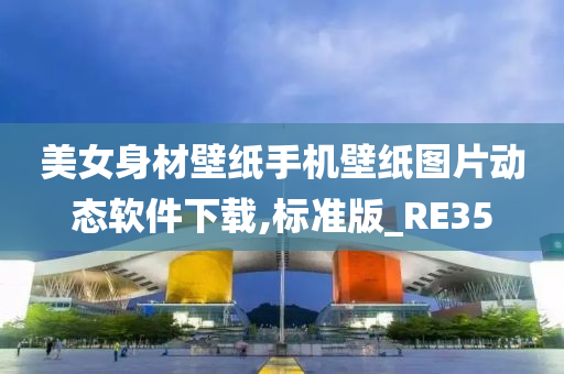 美女身材壁纸手机壁纸图片动态软件下载,标准版_RE35