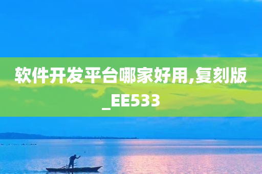 软件开发平台哪家好用,复刻版_EE533