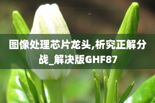 图像处理芯片龙头,析究正解分战_解决版GHF87