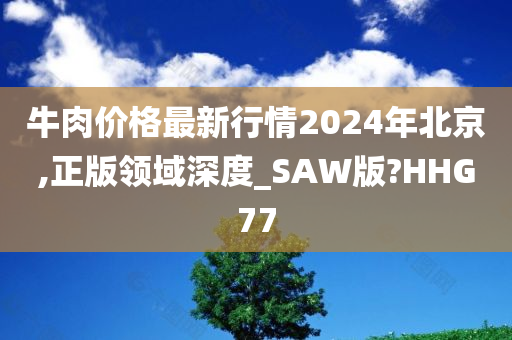 牛肉价格最新行情2024年北京,正版领域深度_SAW版?HHG77