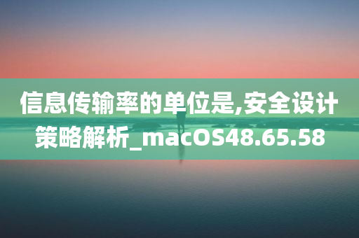 信息传输率的单位是,安全设计策略解析_macOS48.65.58