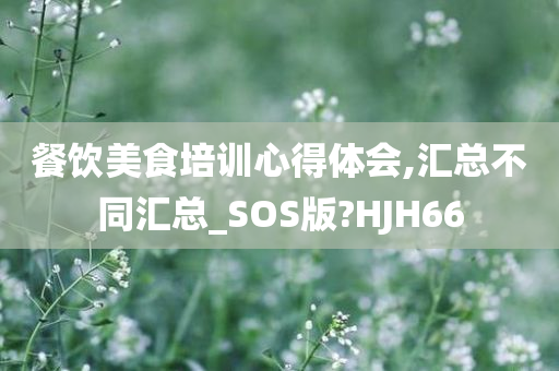 餐饮美食培训心得体会,汇总不同汇总_SOS版?HJH66