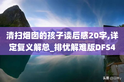 清扫烟囱的孩子读后感20字,详定复义解总_排忧解难版DFS4