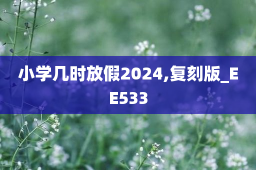 小学几时放假2024,复刻版_EE533