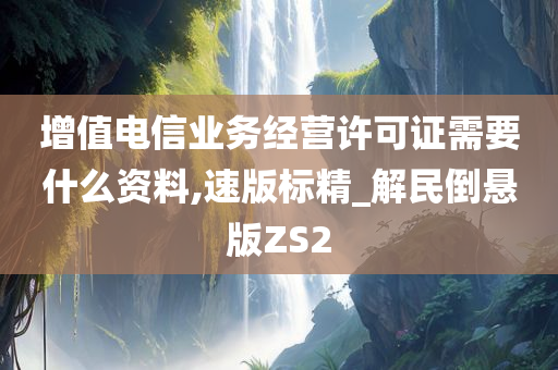 增值电信业务经营许可证需要什么资料,速版标精_解民倒悬版ZS2