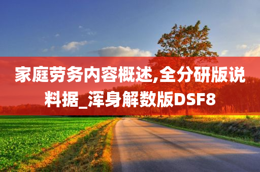 家庭劳务内容概述,全分研版说料据_浑身解数版DSF8