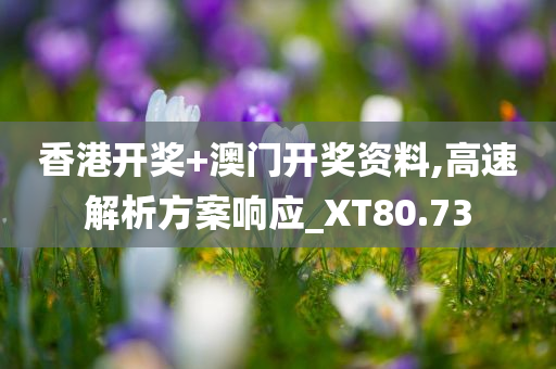 香港开奖+澳门开奖资料,高速解析方案响应_XT80.73