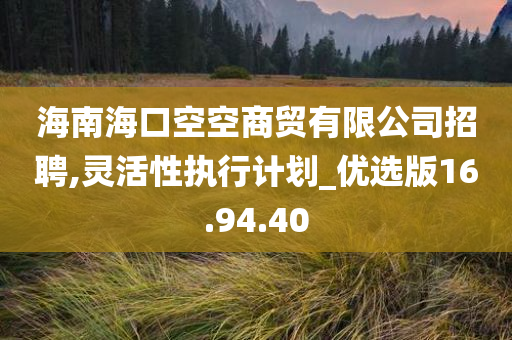 海南海口空空商贸有限公司招聘,灵活性执行计划_优选版16.94.40