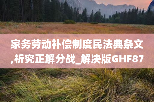 家务劳动补偿制度民法典条文,析究正解分战_解决版GHF87