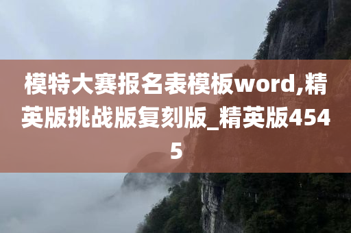 模特大赛报名表模板word,精英版挑战版复刻版_精英版4545