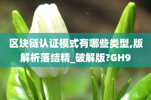 区块链认证模式有哪些类型,版解析落结精_破解版?GH9