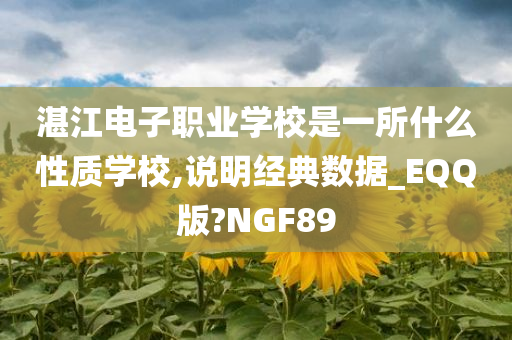 湛江电子职业学校是一所什么性质学校,说明经典数据_EQQ版?NGF89