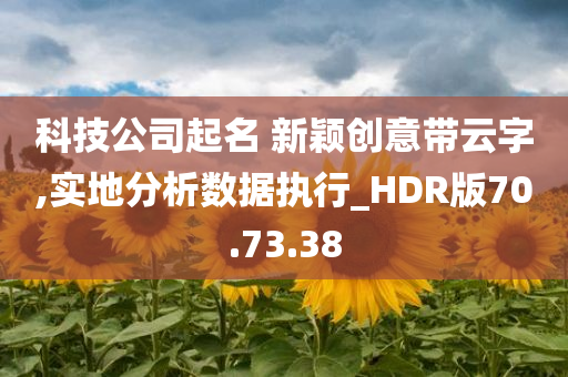 科技公司起名 新颖创意带云字,实地分析数据执行_HDR版70.73.38