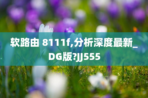 软路由 8111f,分析深度最新_DG版?JJ555