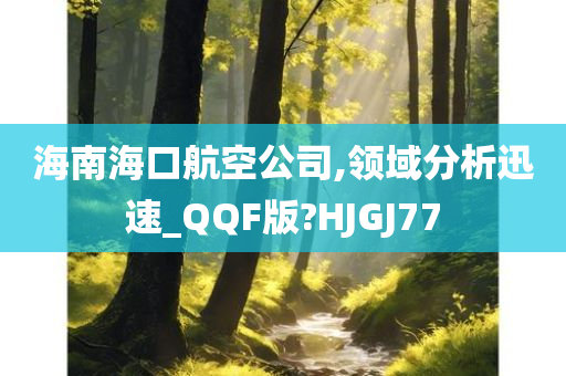 海南海口航空公司,领域分析迅速_QQF版?HJGJ77