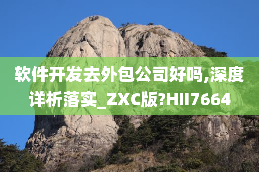 软件开发去外包公司好吗,深度详析落实_ZXC版?HII7664