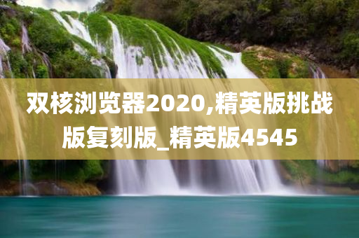 双核浏览器2020,精英版挑战版复刻版_精英版4545