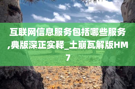 互联网信息服务包括哪些服务,典版深正实释_土崩瓦解版HM7